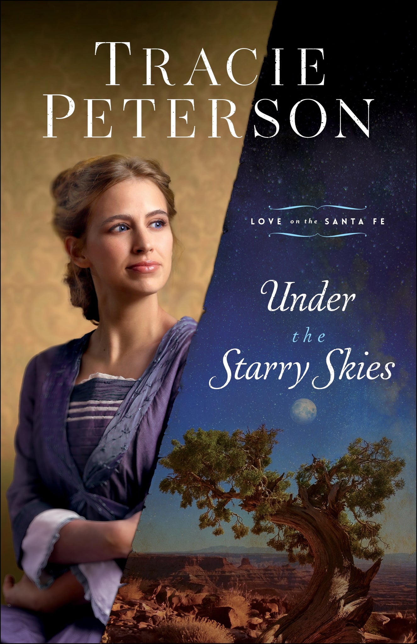 Under The Starry Skies (Love On The Sante Fe)-Softcover