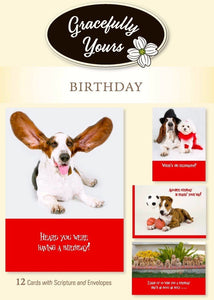 CARD-BOXED-BIRTHDAY-PAWS FOR CELEBRATION #209 (BOX OF 12)