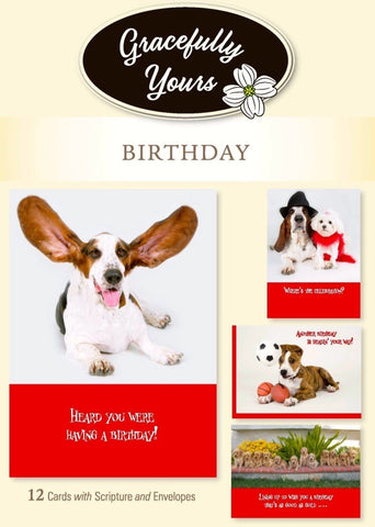 CARD-BOXED-BIRTHDAY-PAWS FOR CELEBRATION #209 (BOX OF 12)