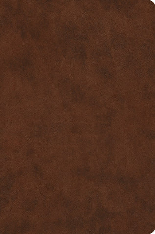 ESV Value Compact Bible-Brown TruTone