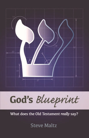 God's Blueprint: What does the Old Testament really say?