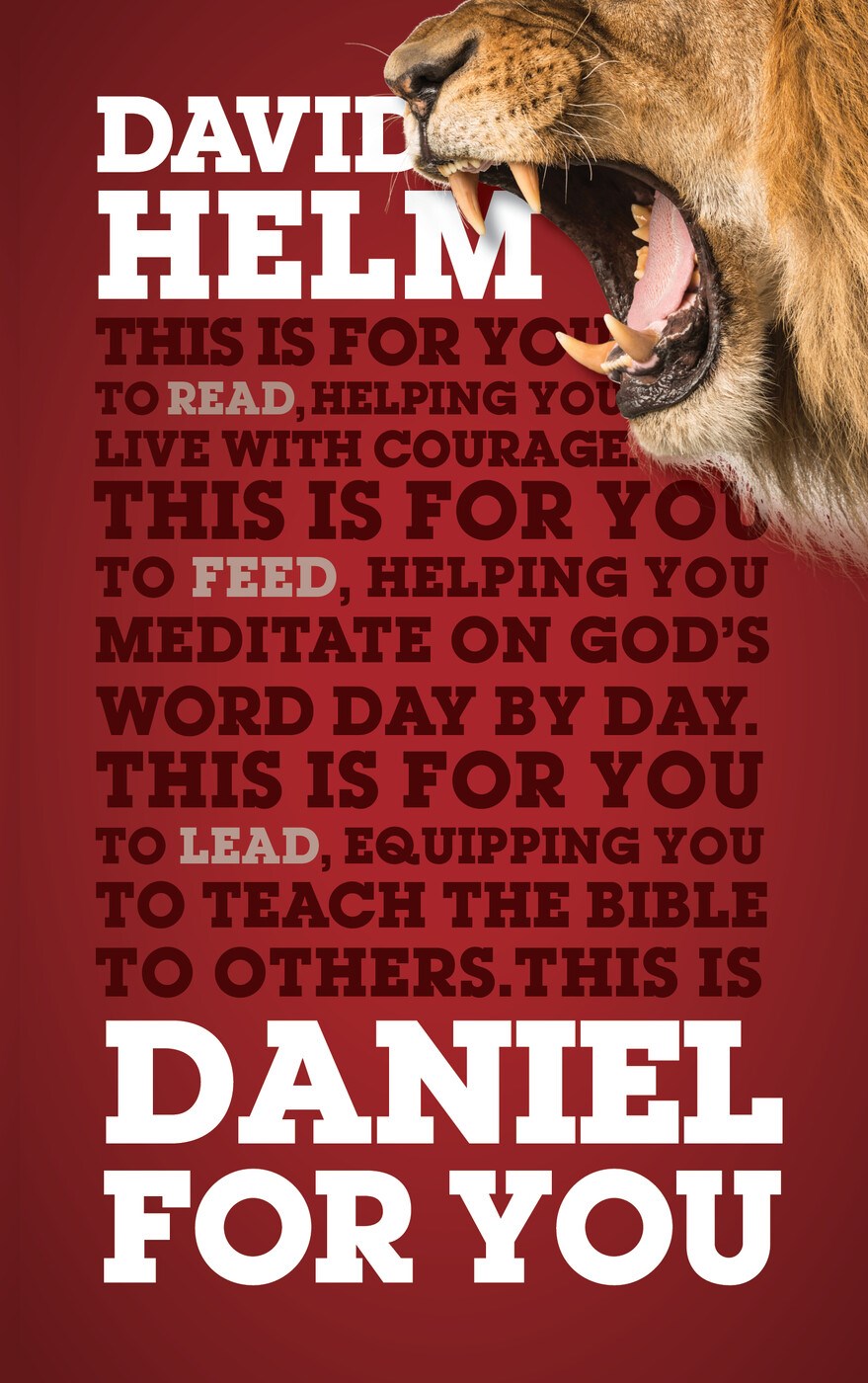 Daniel For You by Helm David