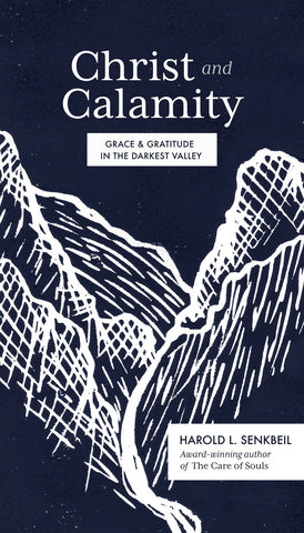 Christ and Calamity: Grace and Gratitude in the Darkest Valley (Hardcover)