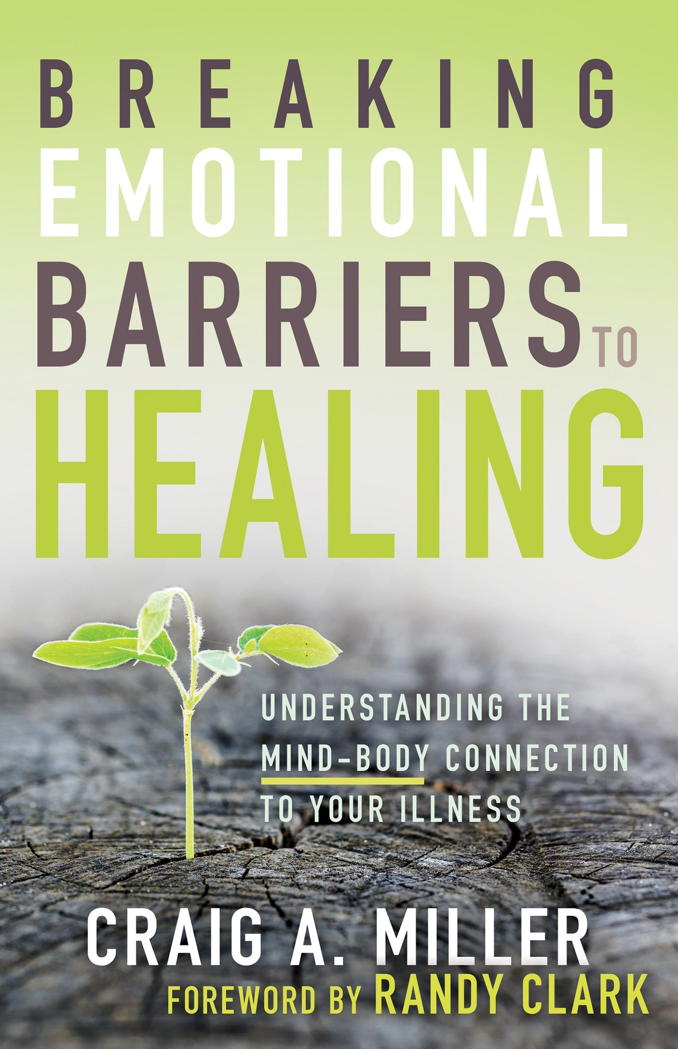 Breaking Emotional Barriers To Healing